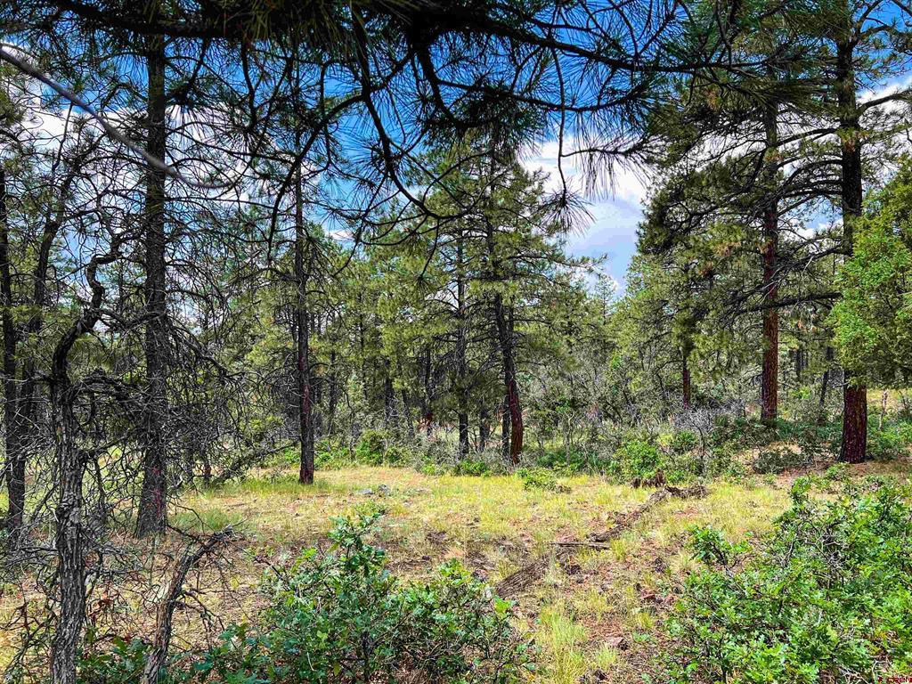 160 Far View Pagosa Springs CO 81147