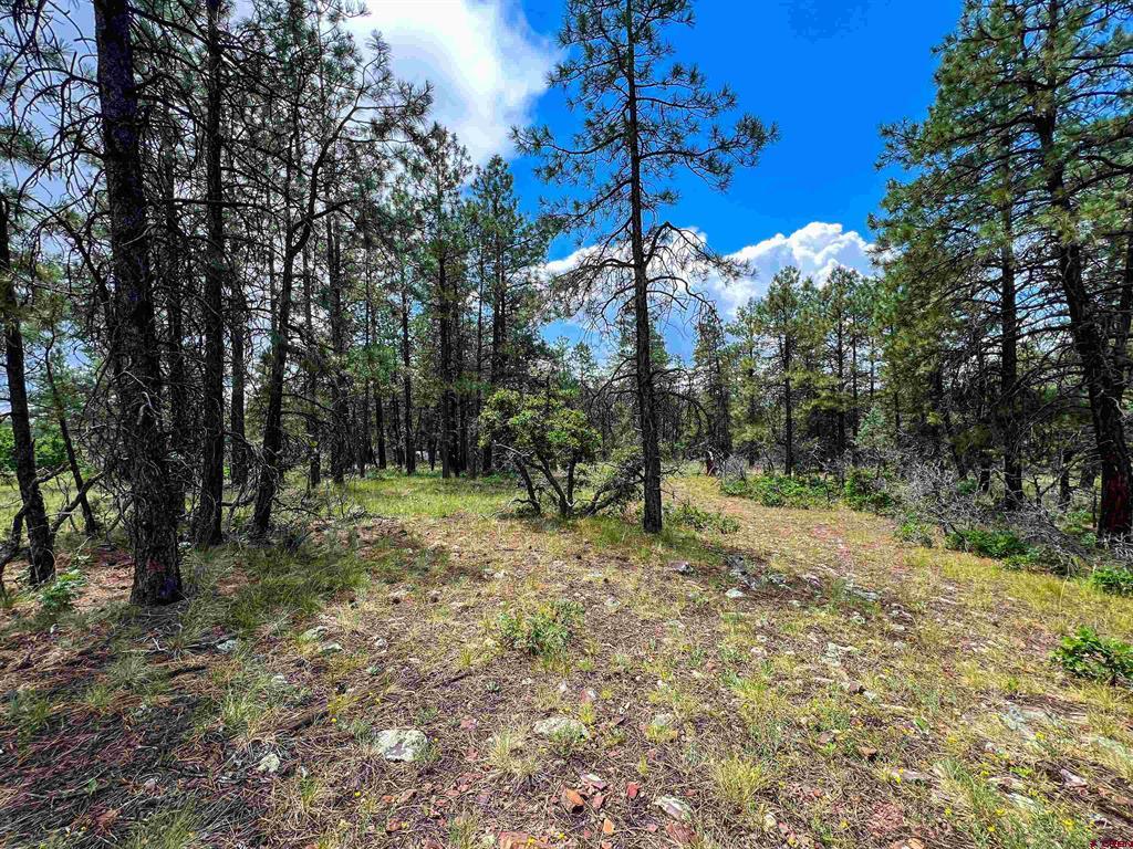 160 Far View Pagosa Springs CO 81147