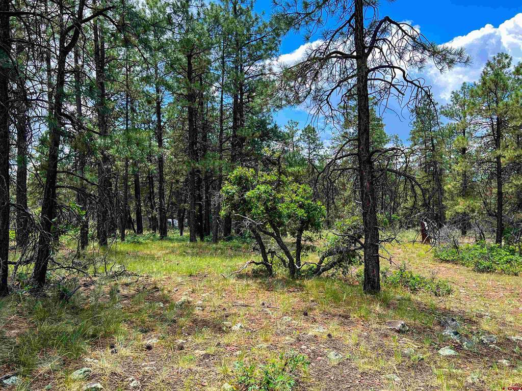 160 Far View Pagosa Springs CO 81147