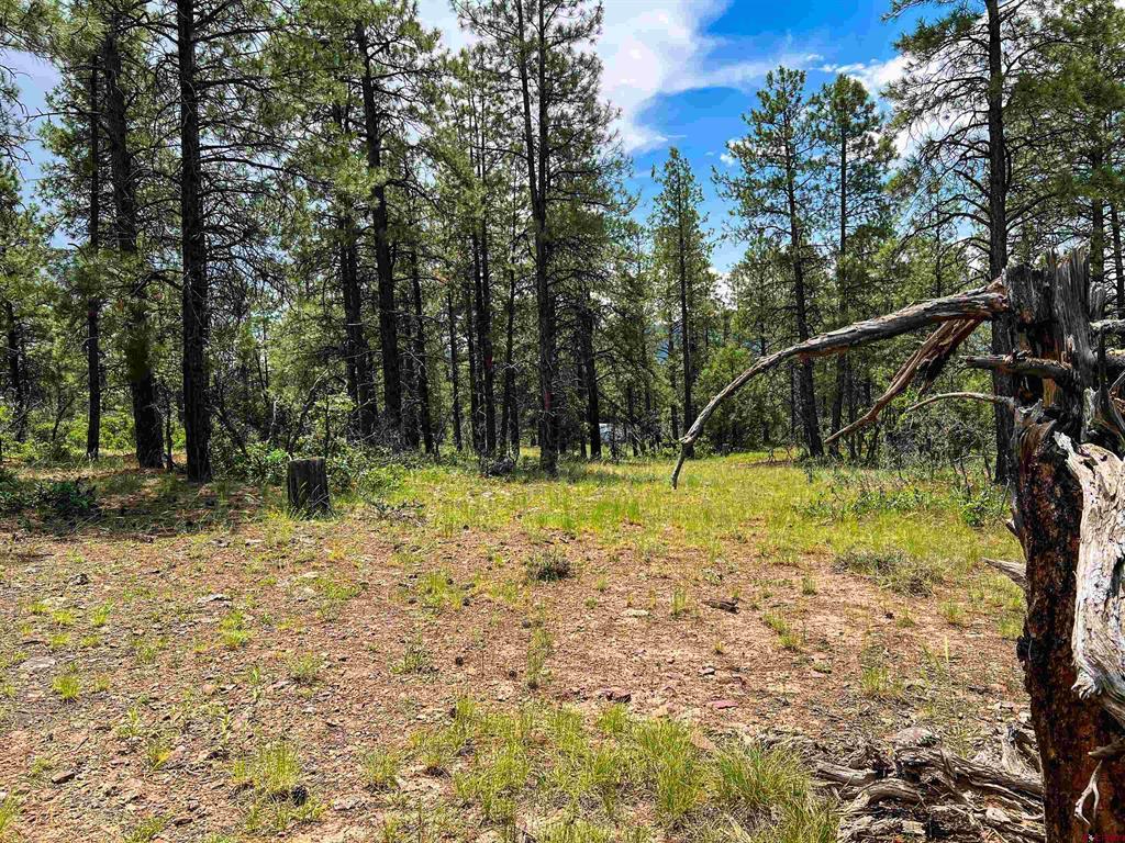 160 Far View Pagosa Springs CO 81147