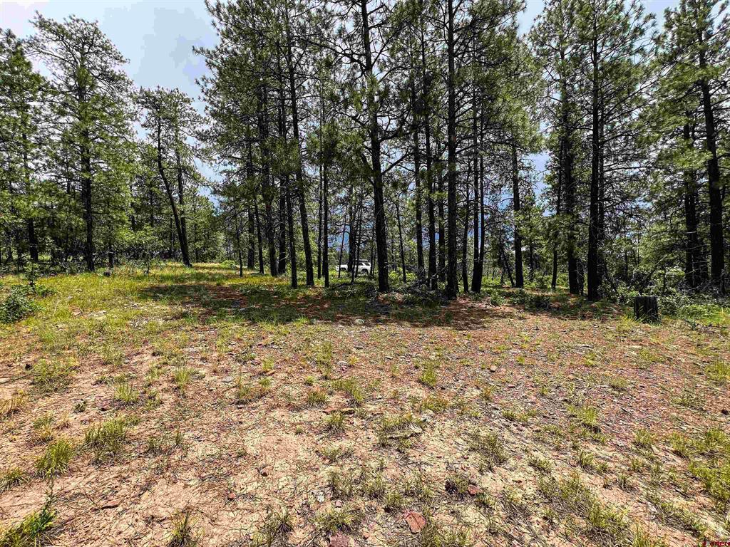 160 Far View Pagosa Springs CO 81147
