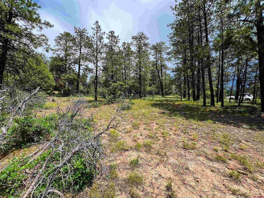 160 Far View Pagosa Springs CO 81147
