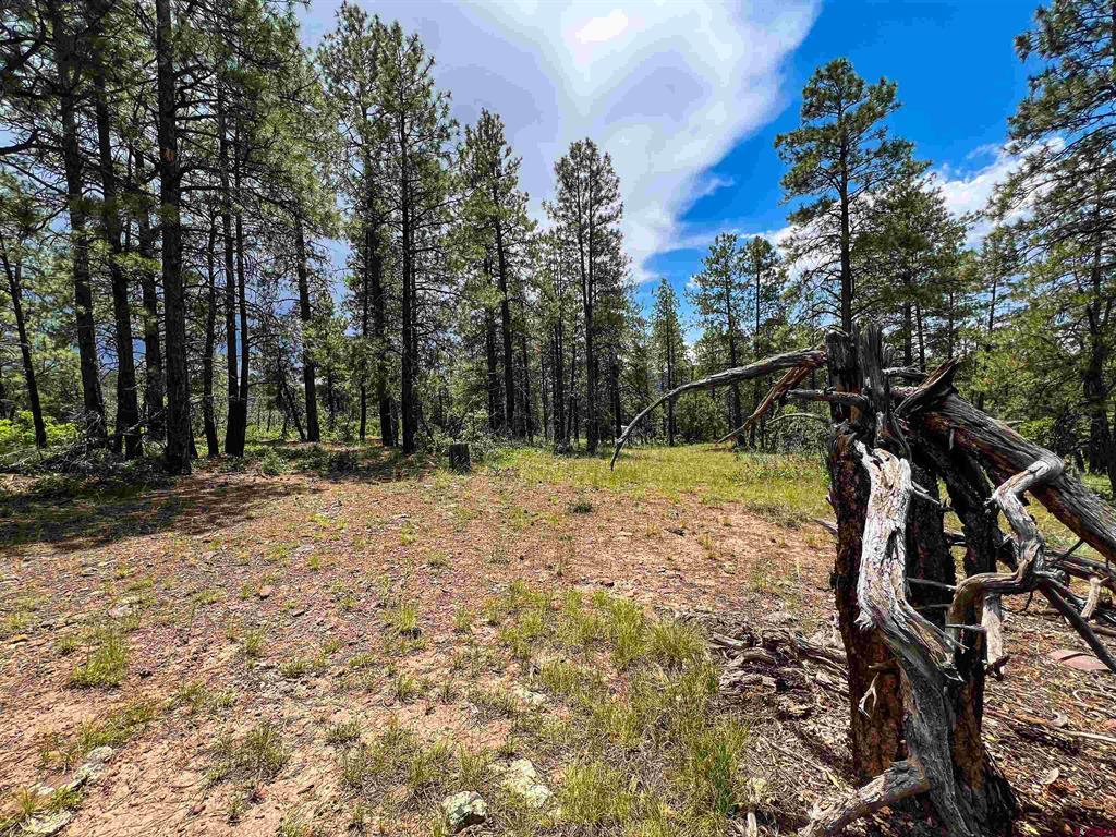 160 Far View Pagosa Springs CO 81147