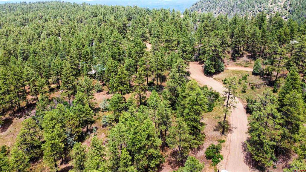 160 Far View Pagosa Springs CO 81147