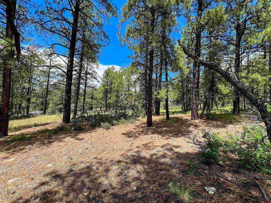 160 Far View Pagosa Springs CO 81147