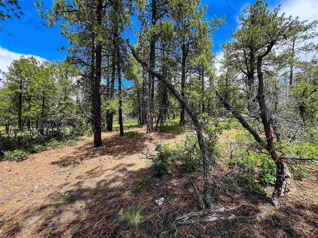 160 Far View Pagosa Springs CO 81147