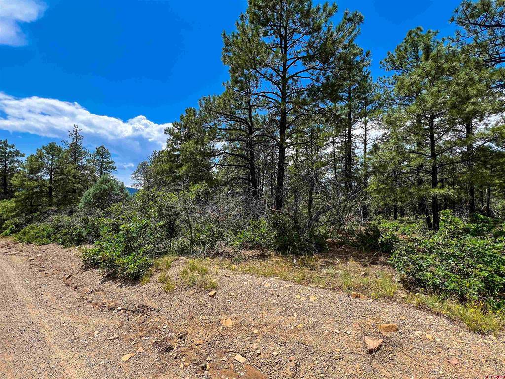 160 Far View Pagosa Springs CO 81147