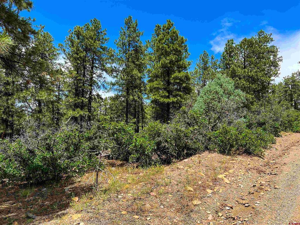 160 Far View Pagosa Springs CO 81147