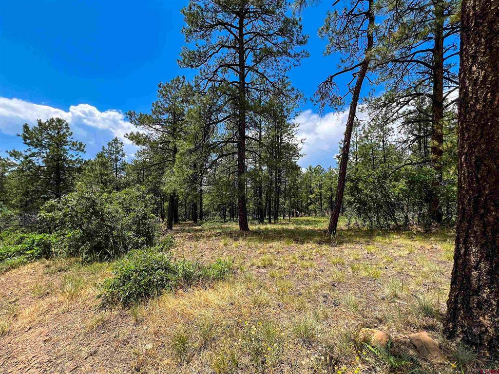 160 Far View Pagosa Springs CO 81147