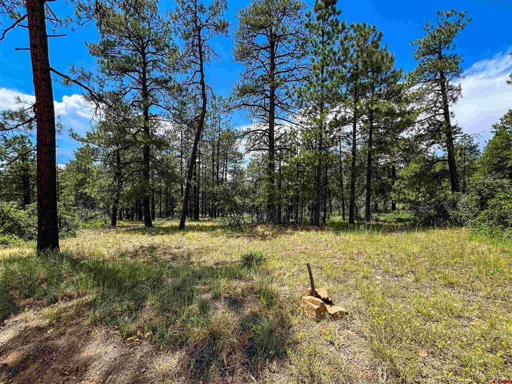 160 Far View Pagosa Springs CO 81147
