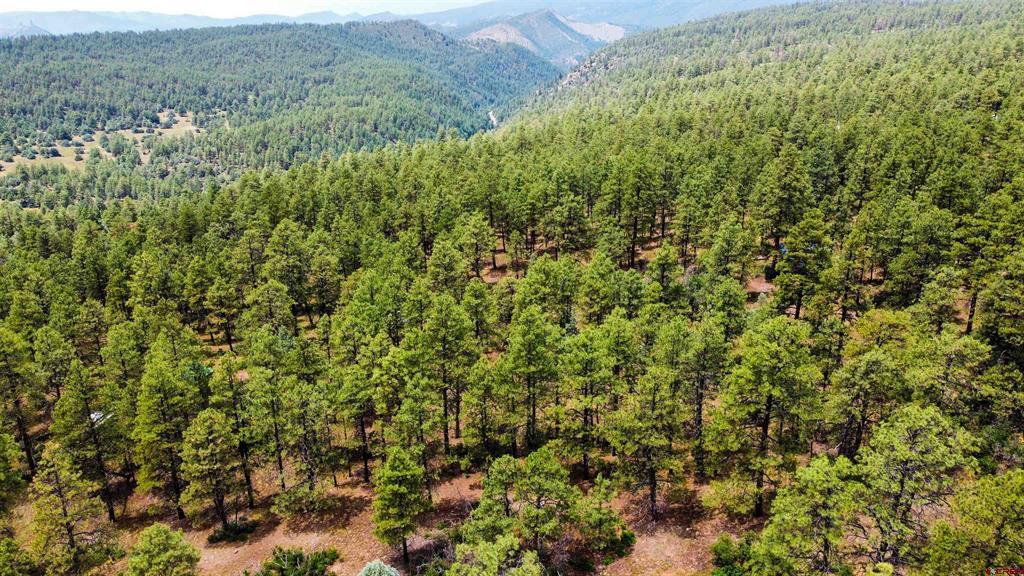 160 Far View Pagosa Springs CO 81147