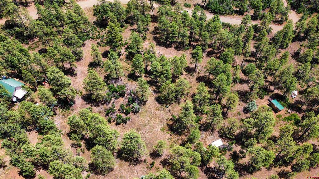 160 Far View Pagosa Springs CO 81147