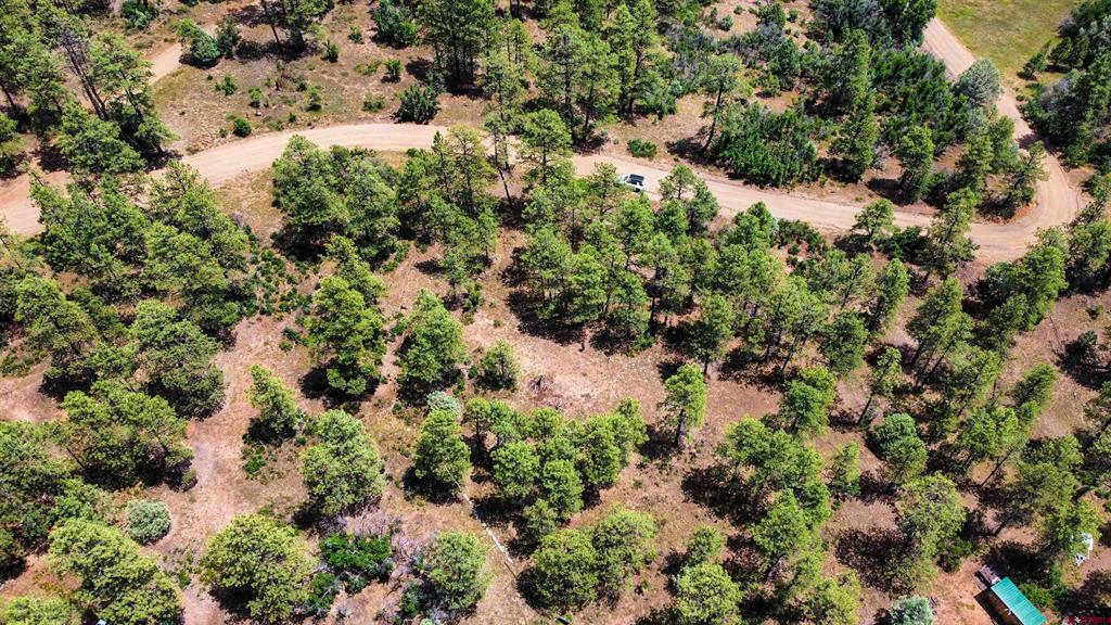 160 Far View Pagosa Springs CO 81147