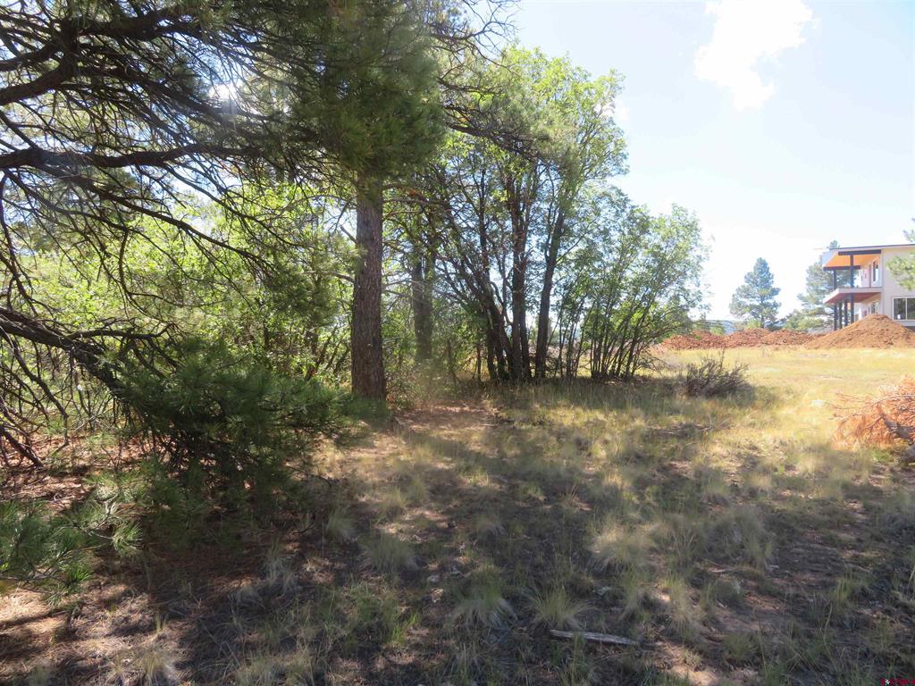 100 N Pinescent Court Pagosa Springs CO 81147