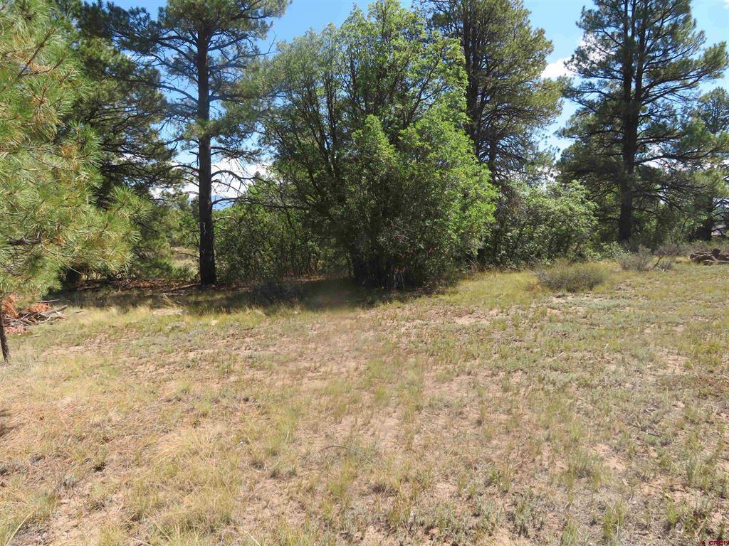 100 N Pinescent Court Pagosa Springs CO 81147