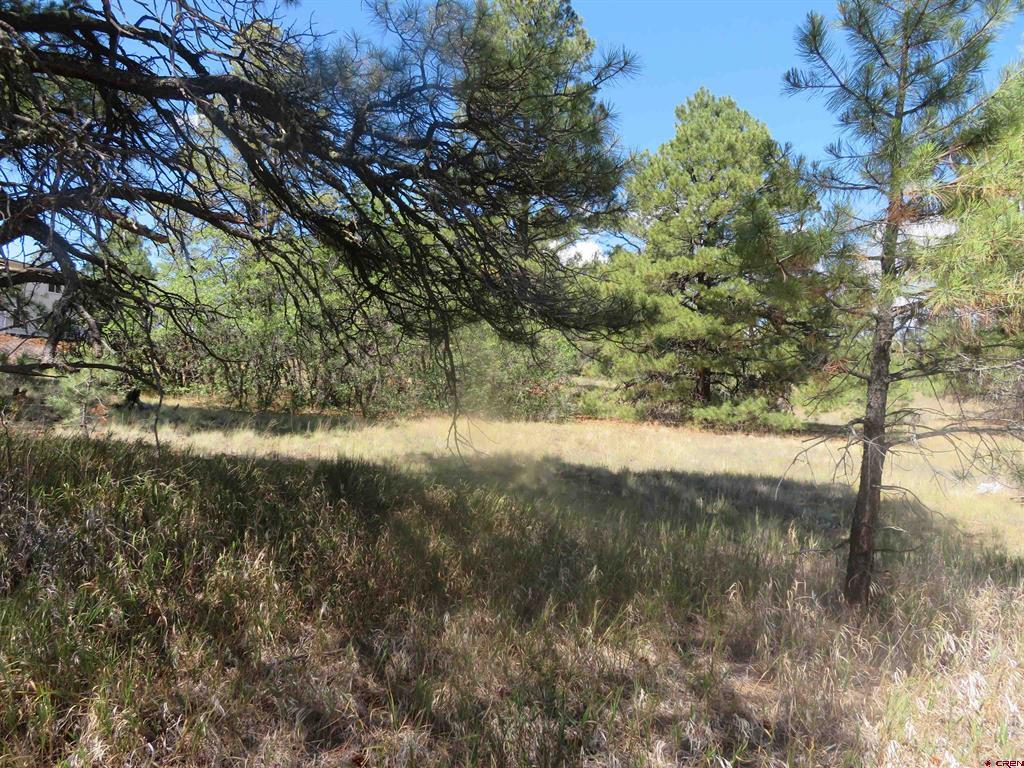 100 N Pinescent Court Pagosa Springs CO 81147