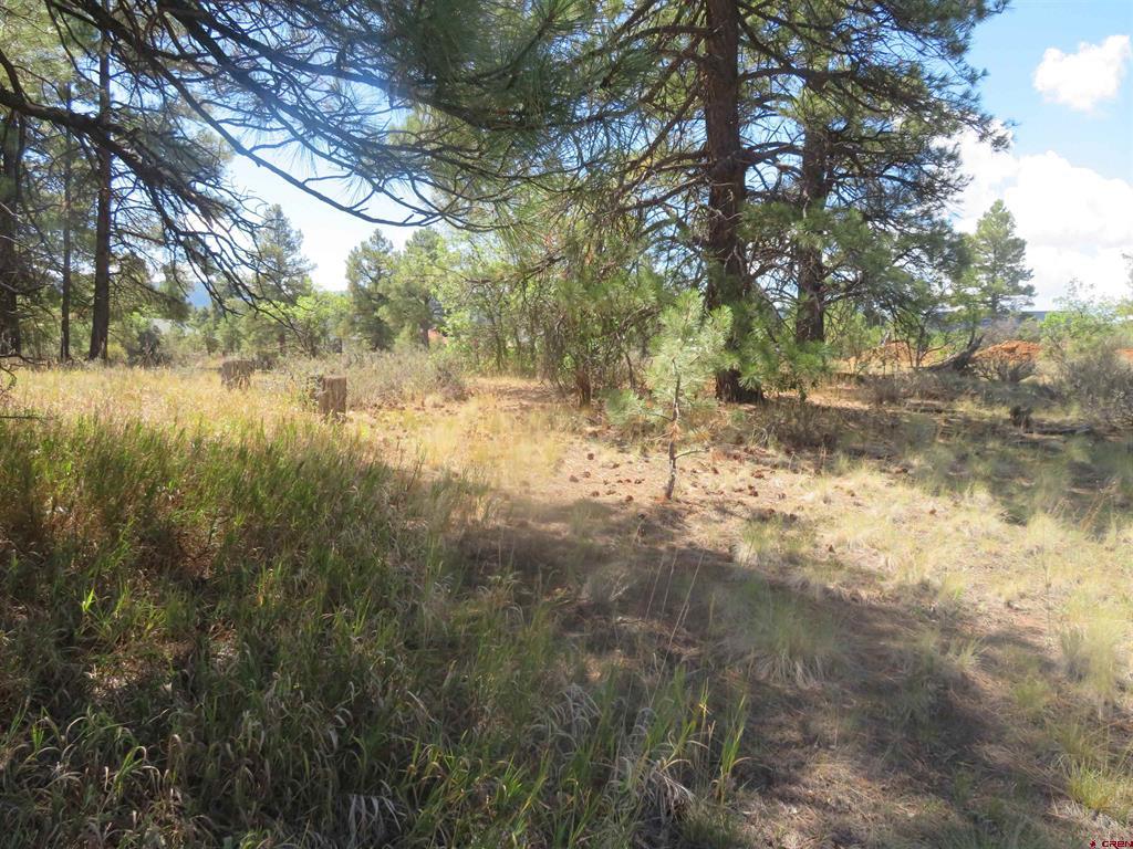 100 N Pinescent Court Pagosa Springs CO 81147