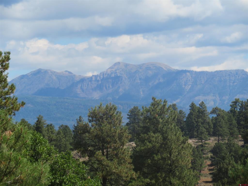 100 N Pinescent Court Pagosa Springs CO 81147