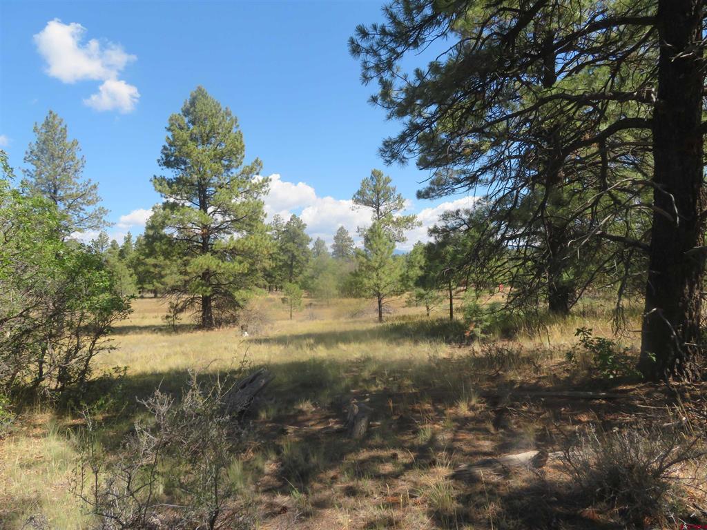 100 N Pinescent Court Pagosa Springs CO 81147