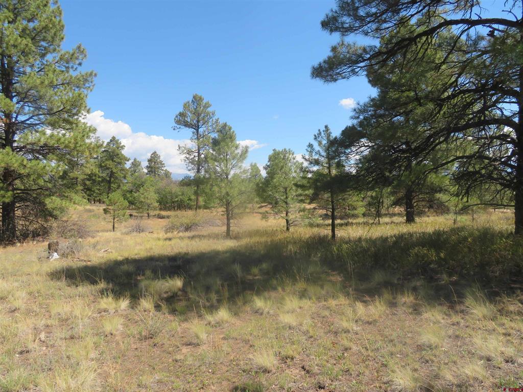100 N Pinescent Court Pagosa Springs CO 81147