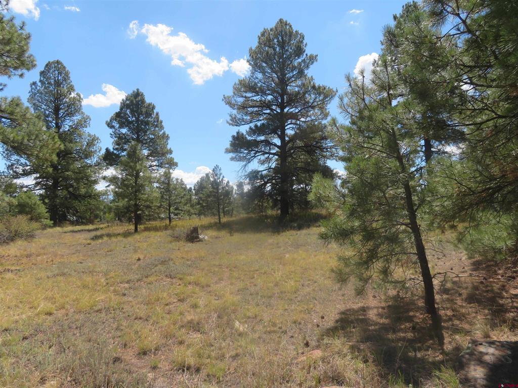 100 N Pinescent Court Pagosa Springs CO 81147