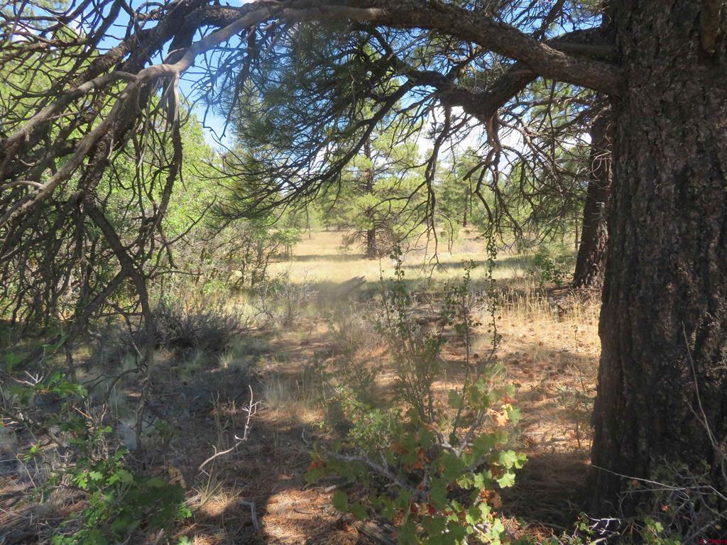100 N Pinescent Court Pagosa Springs CO 81147