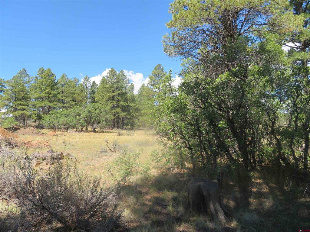 100 N Pinescent Court Pagosa Springs CO 81147