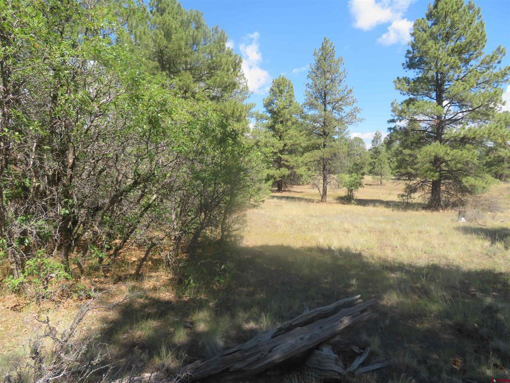 100 N Pinescent Court Pagosa Springs CO 81147