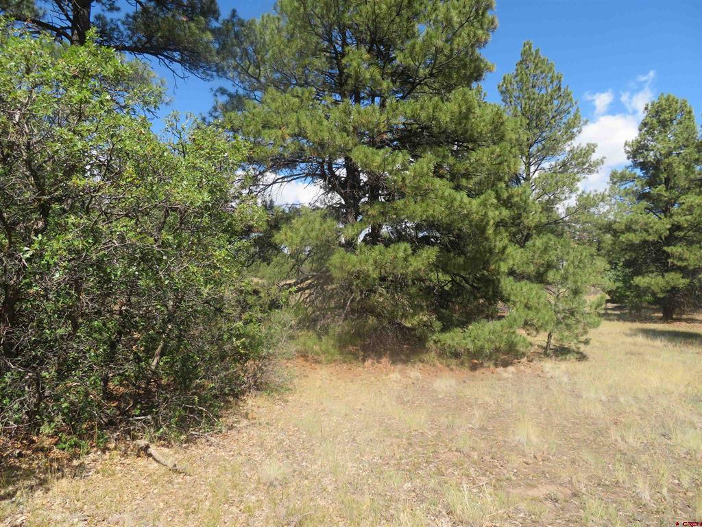 100 N Pinescent Court Pagosa Springs CO 81147