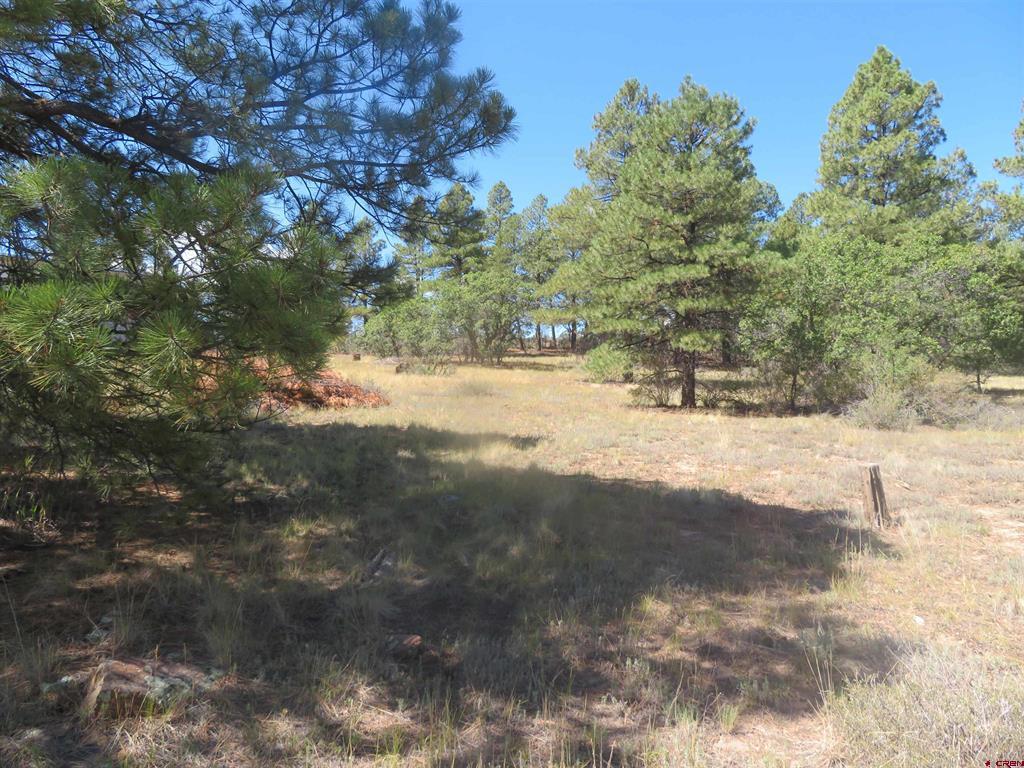 100 N Pinescent Court Pagosa Springs CO 81147