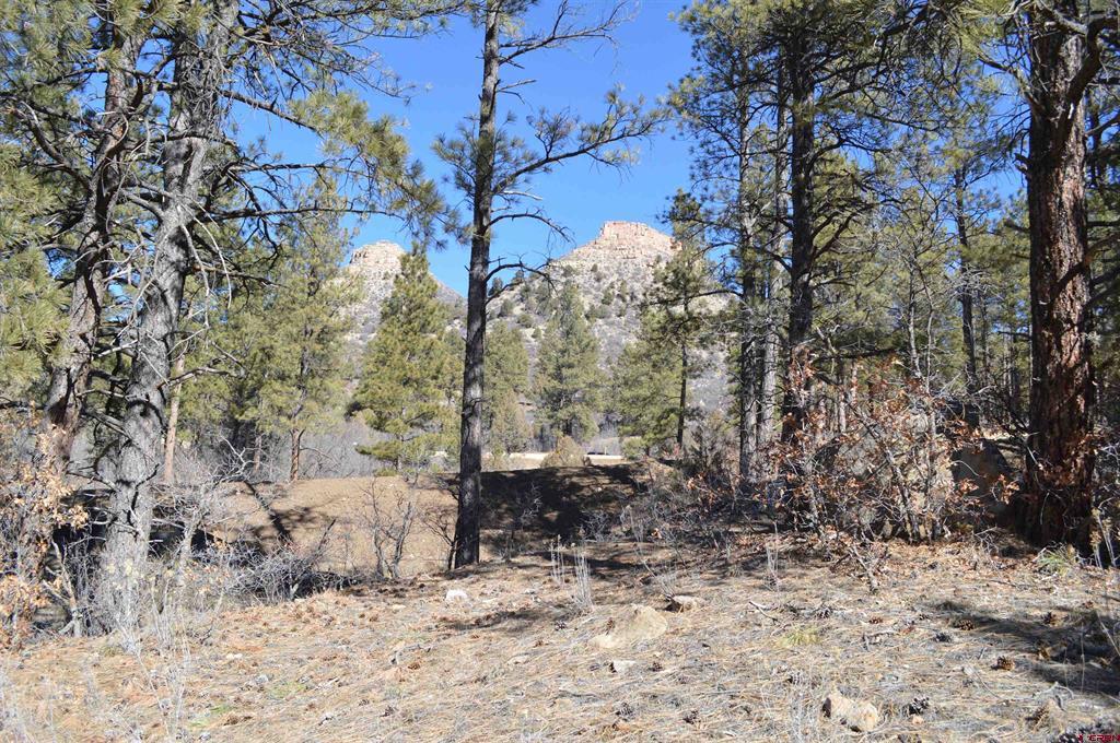 676 Tipple Avenue (Lot 121) Durango CO 81301