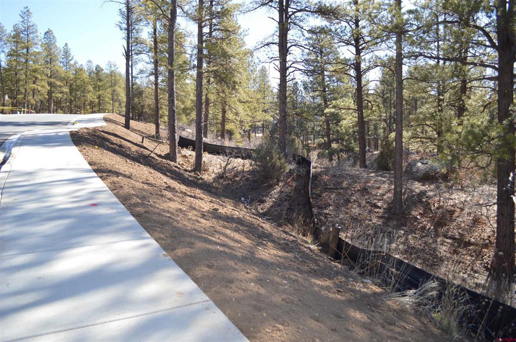 676 Tipple Avenue (Lot 121) Durango CO 81301