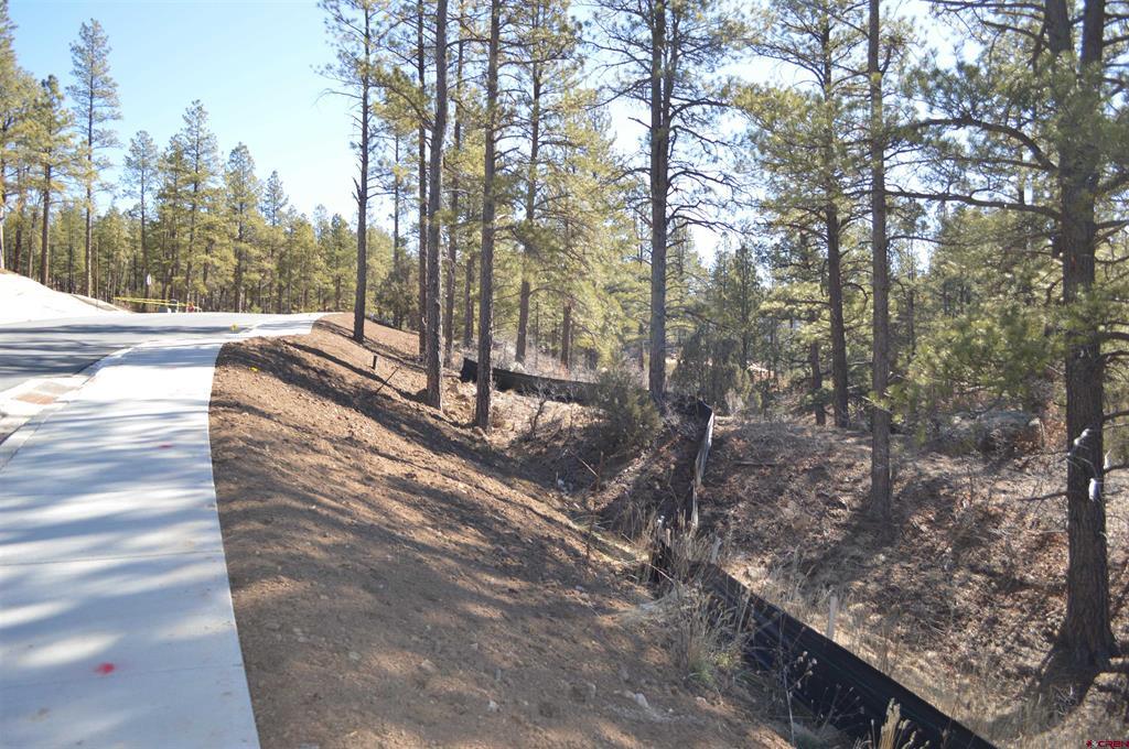676 Tipple Avenue (Lot 121) Durango CO 81301