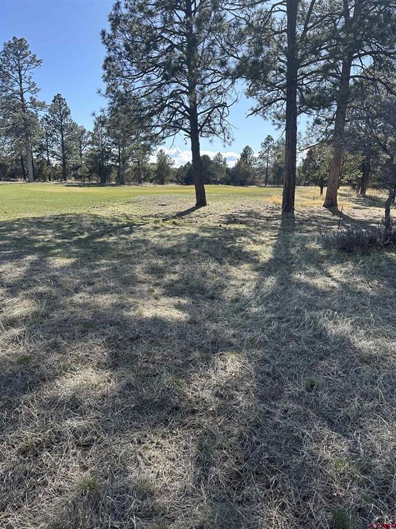 Tbd V314 Marmot Drive Ridgway CO 81432
