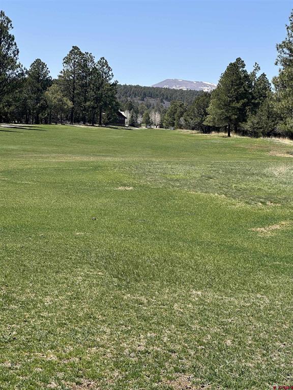 Tbd V314 Marmot Drive Ridgway CO 81432