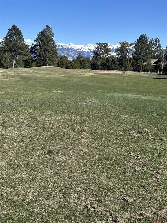 Tbd V314 Marmot Drive Ridgway CO 81432