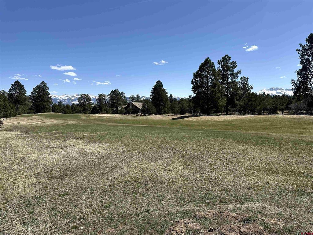 Tbd V314 Marmot Drive Ridgway CO 81432