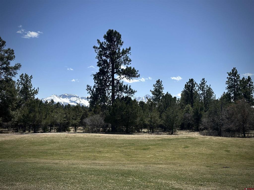 Tbd V314 Marmot Drive Ridgway CO 81432