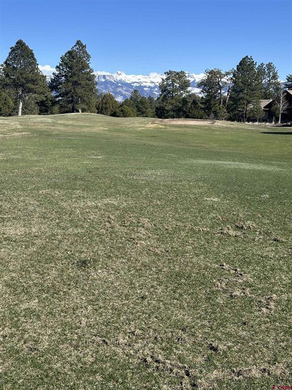 Tbd V314 Marmot Drive Ridgway CO 81432