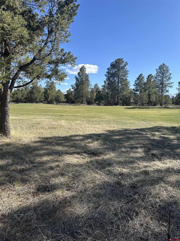 Tbd V314 Marmot Drive Ridgway CO 81432