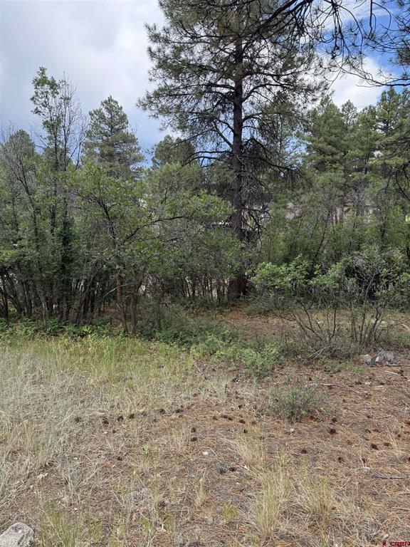 821 Aspenglow Boulevard Pagosa Springs CO 81147