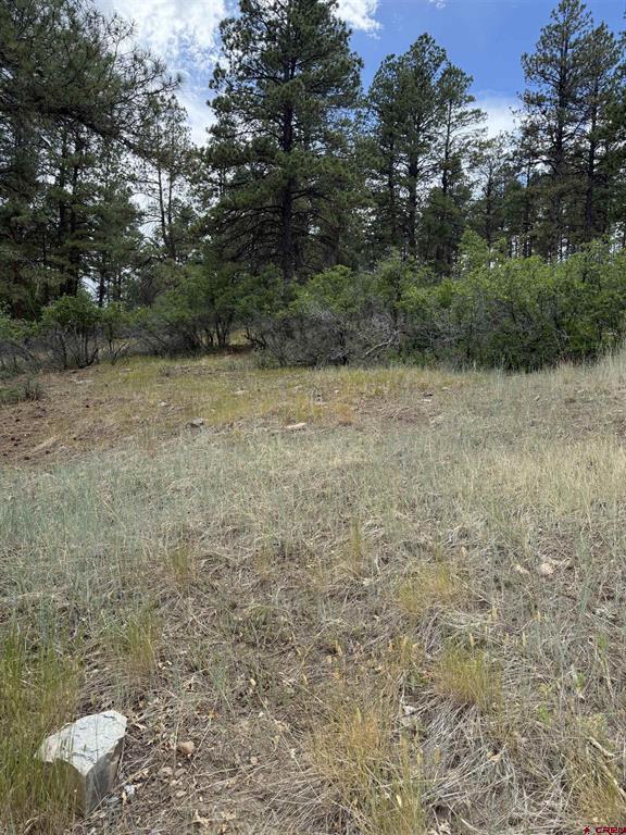 821 Aspenglow Boulevard Pagosa Springs CO 81147