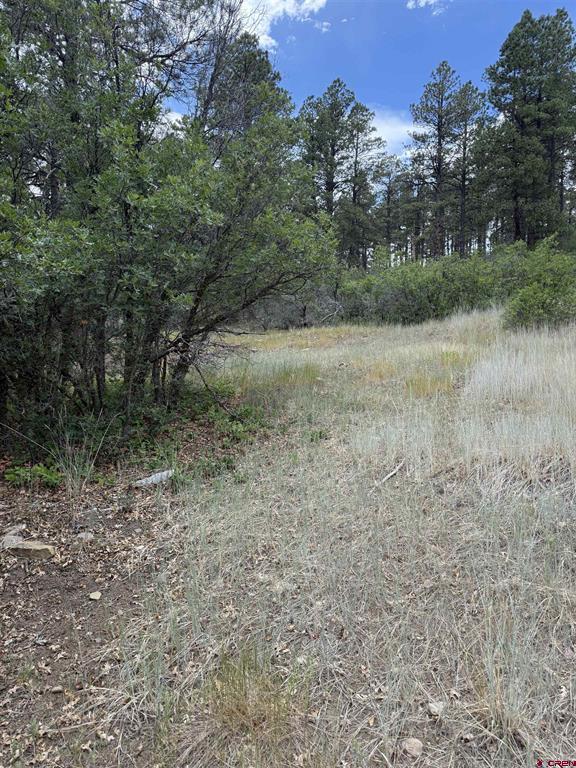 821 Aspenglow Boulevard Pagosa Springs CO 81147