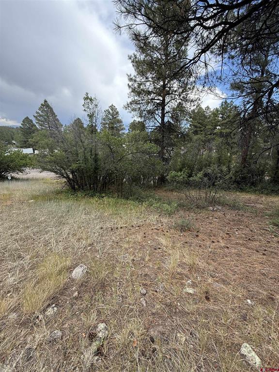 821 Aspenglow Boulevard Pagosa Springs CO 81147