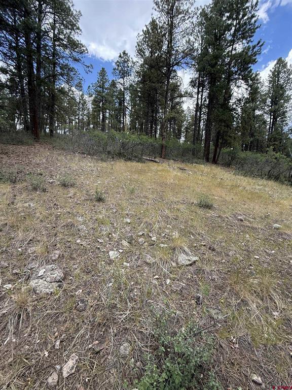 821 Aspenglow Boulevard Pagosa Springs CO 81147