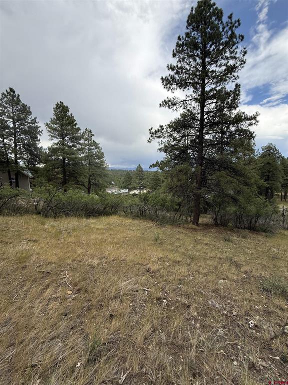 821 Aspenglow Boulevard Pagosa Springs CO 81147