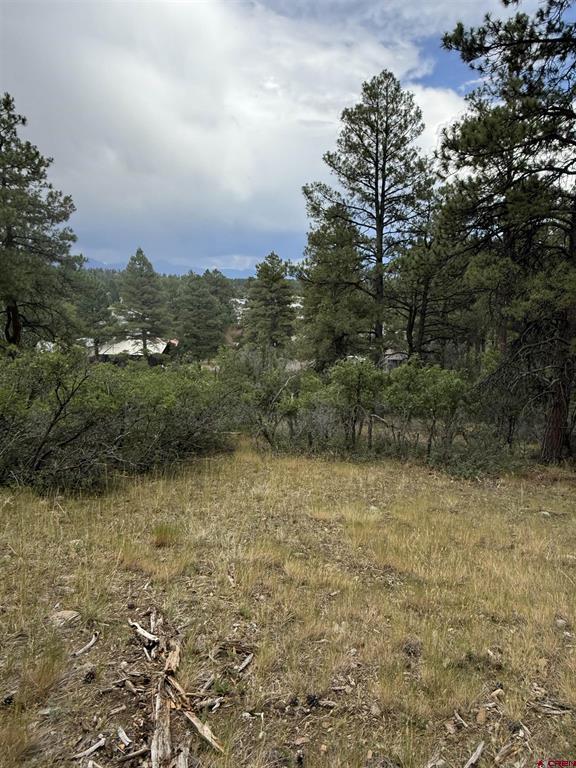 821 Aspenglow Boulevard Pagosa Springs CO 81147