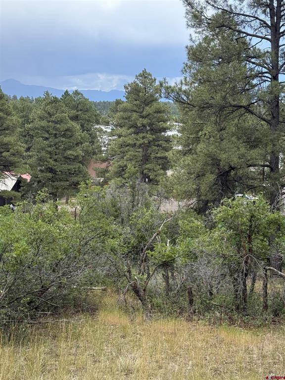 821 Aspenglow Boulevard Pagosa Springs CO 81147