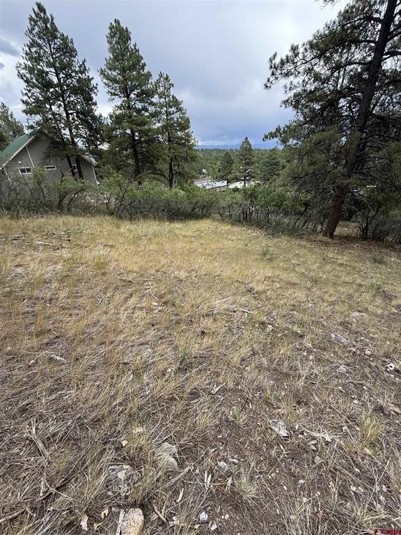821 Aspenglow Boulevard Pagosa Springs CO 81147