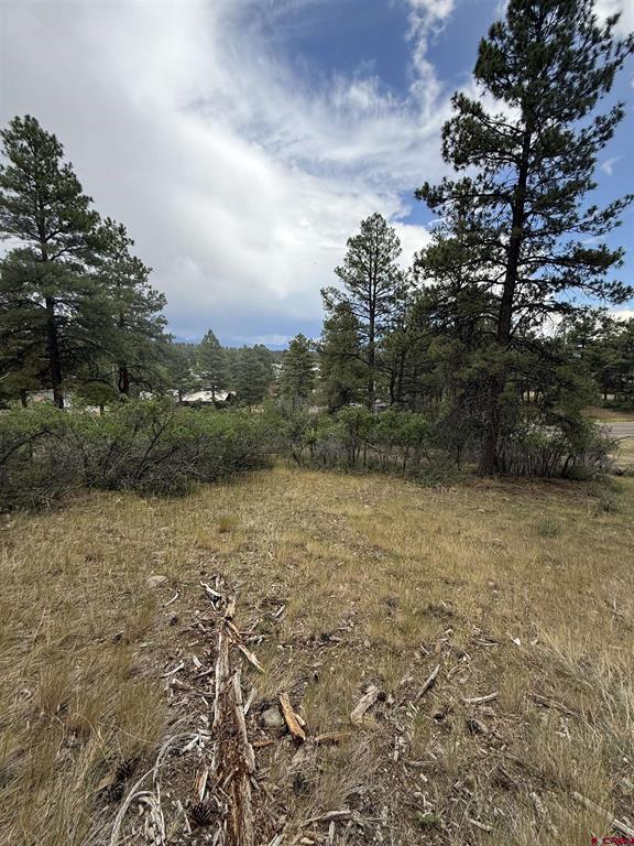 821 Aspenglow Boulevard Pagosa Springs CO 81147